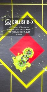 Ballistic-X-Export-2023-02-01 03:47:28.176939.jpg