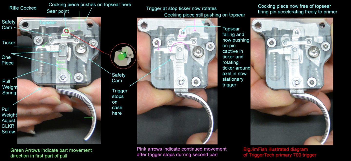 Illustrated diagram of the two part release sequence of a TriggerTech trigger.