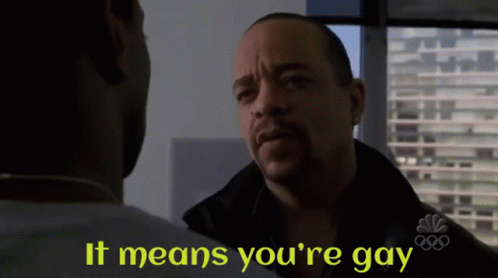 000 ice-t-you-are-gay.gif