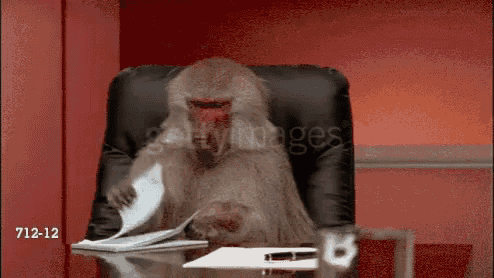0003E543-116C-4136-96A7-E99FEEA6CC48.gif