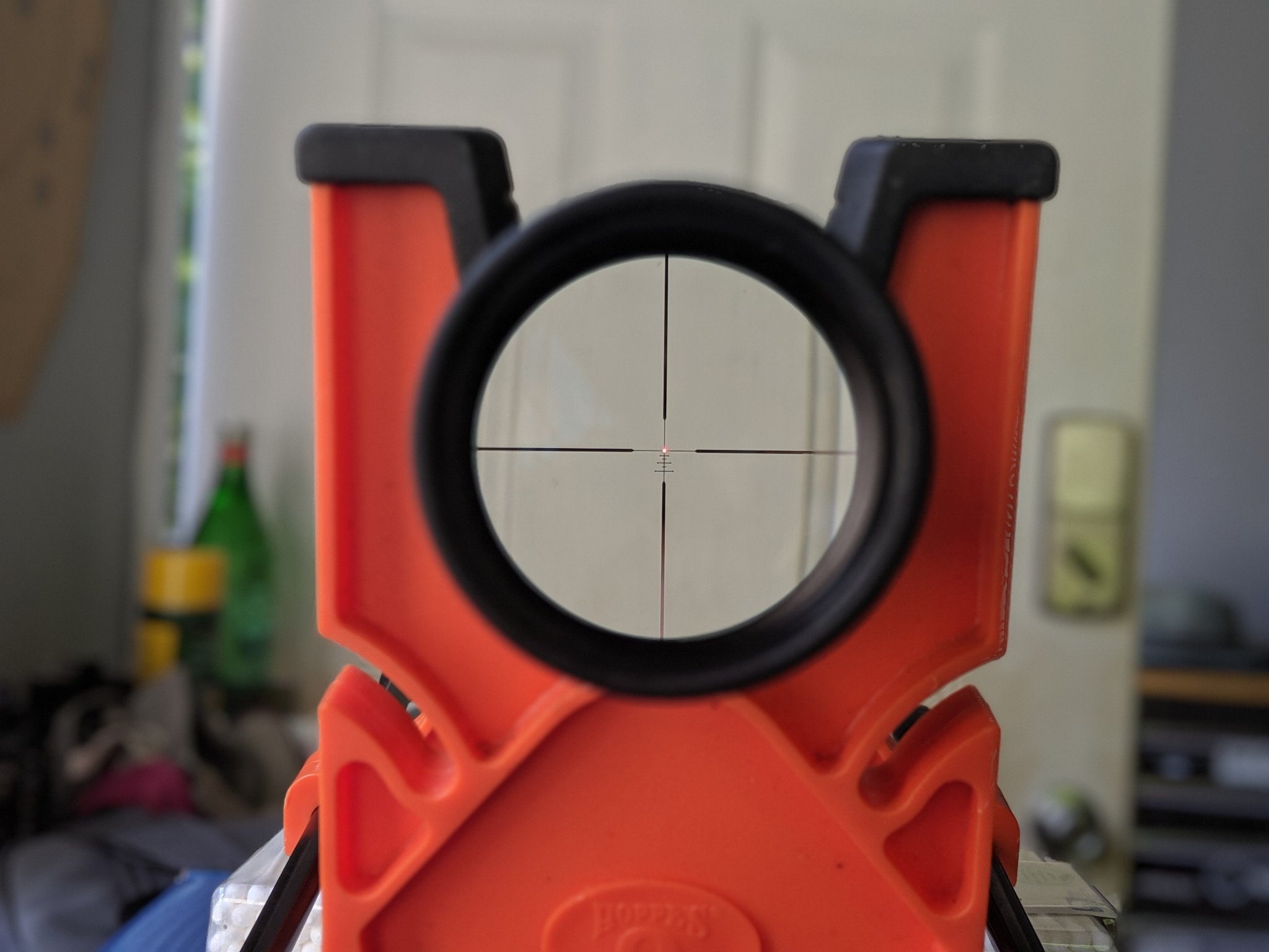 00100lPORTRAIT_00100_BURST20190516092906507_COVER (1).jpg