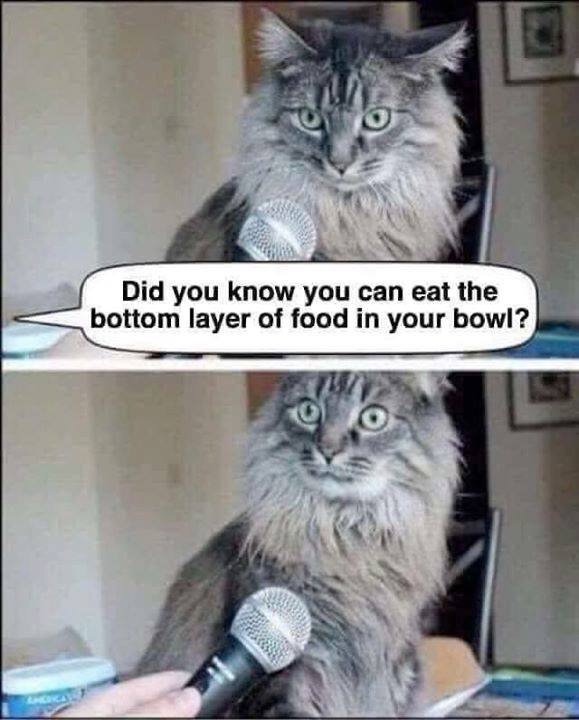 0127C6FE-60C9-4A08-9C53-B40D4B6E3E94.jpeg