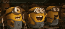 012F9995-D234-41FC-BEB1-3D1A02BAFDAE.gif