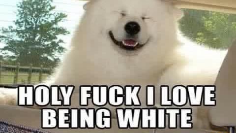 0229576F-5F79-44CB-BBE2-D230C168A0B1.jpeg