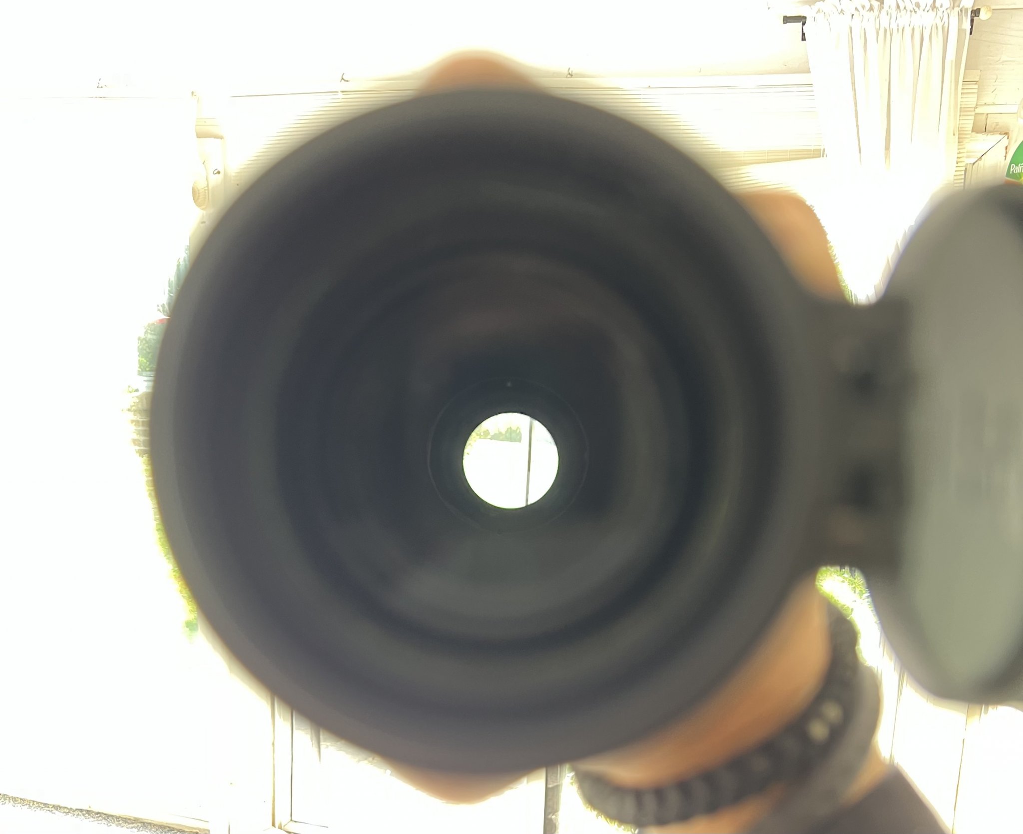 022BCF6E-3B3B-4CBC-B659-BDF882EF364C.jpeg