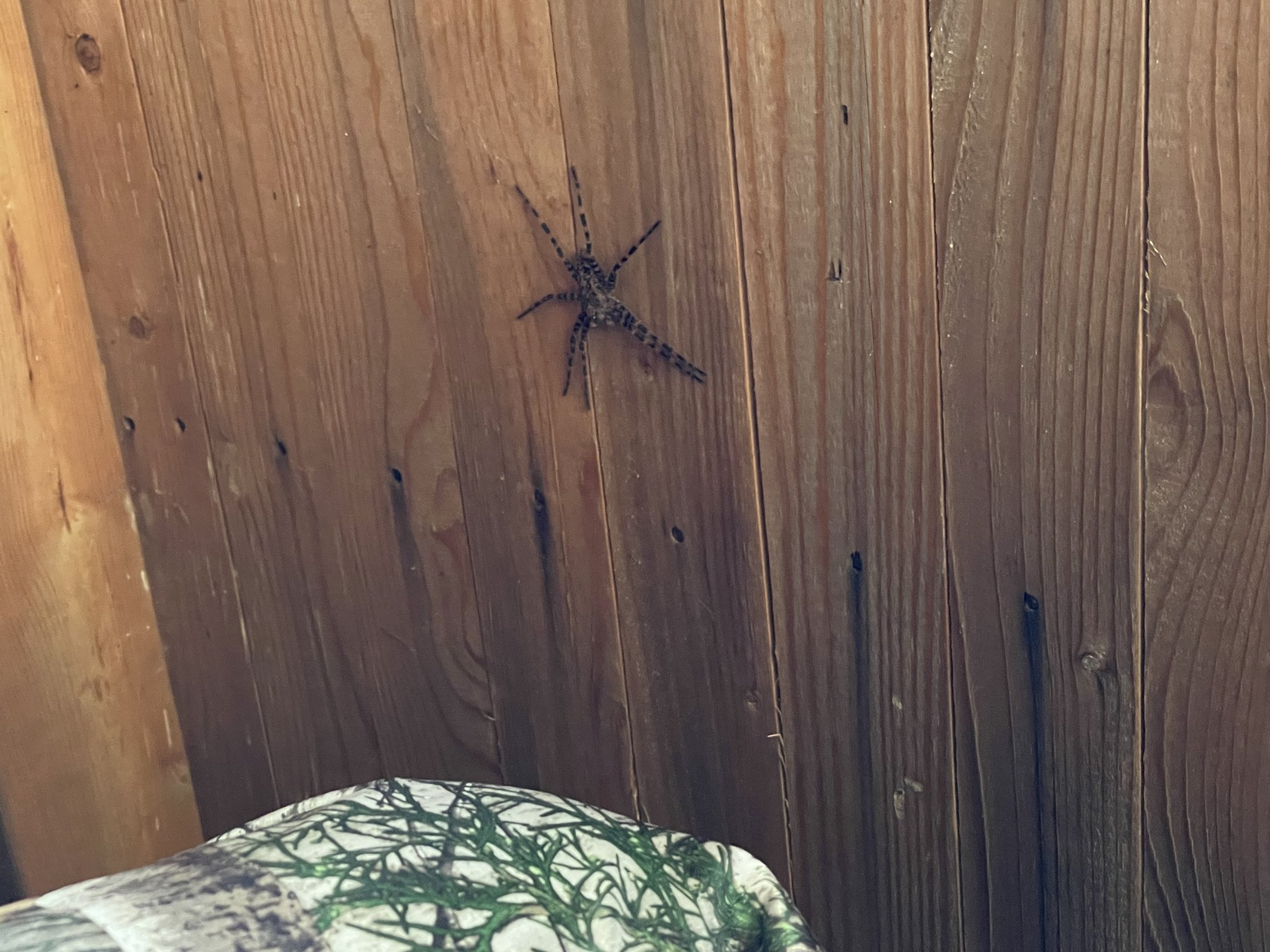 025712B0-48E7-4902-B728-E3591297E635.jpeg