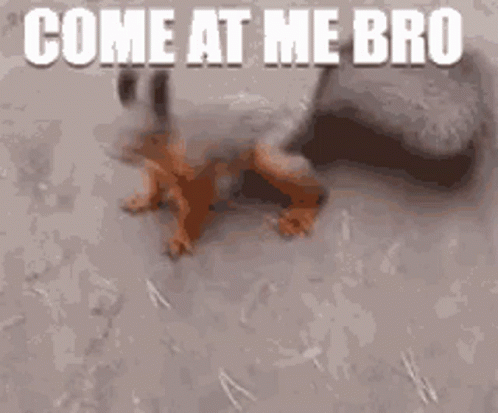 02D4C1F1-148C-4BE9-A215-D113BEF577FC.gif