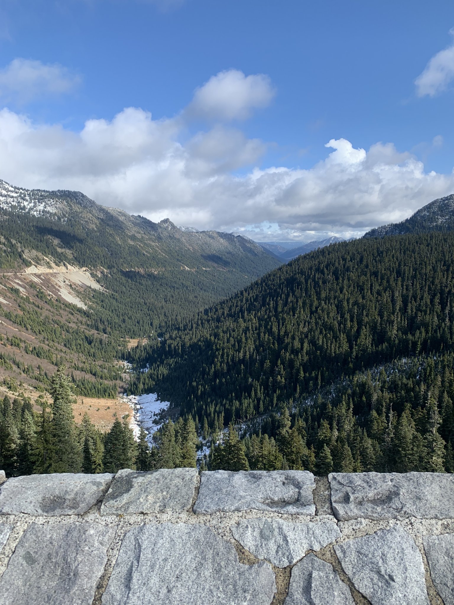03A37787-BB57-4207-B49B-D42E43235886.jpeg