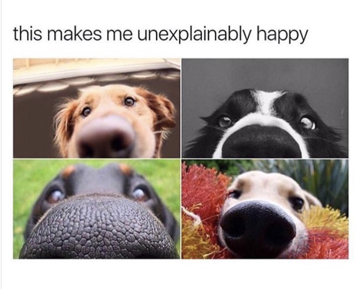 03C0E532-DCD7-4484-97FD-9D9747D7147E.jpeg