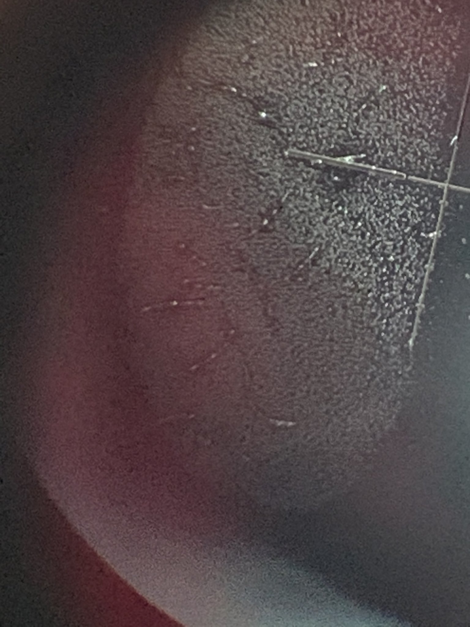 03C48180-ACDF-4E73-AA18-B029FA3EB286.jpeg