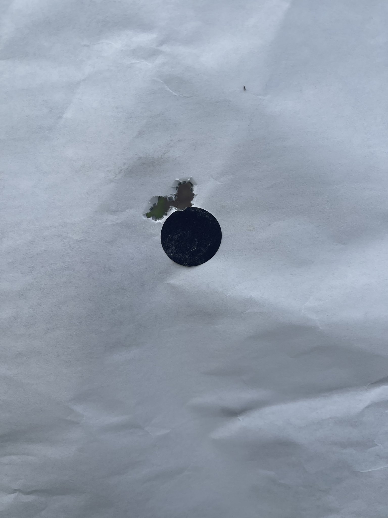 0440923F-651D-4006-925A-2A03CF954A0C.jpeg