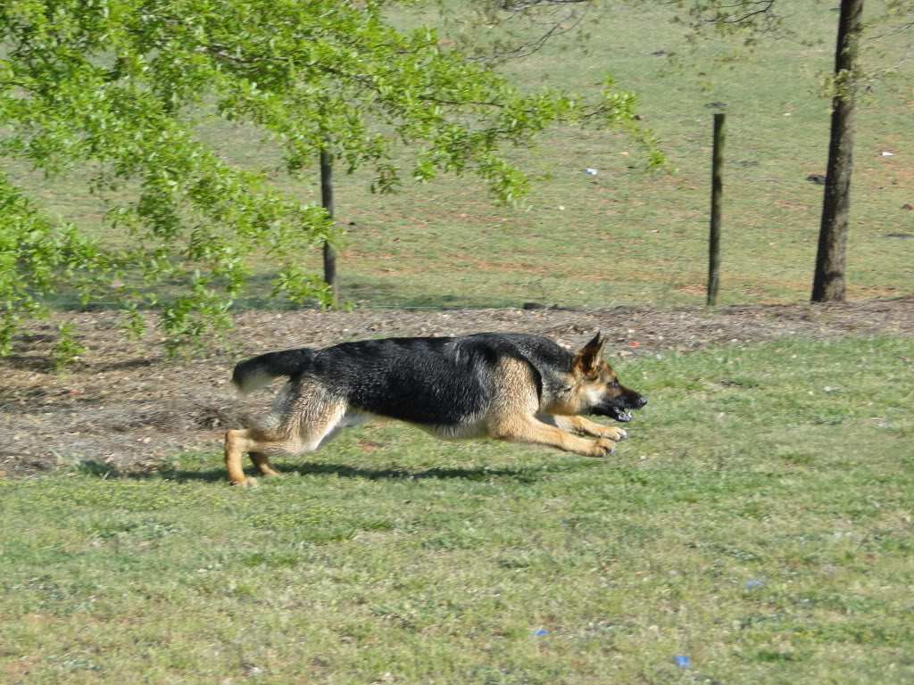 05-19-11152.JPG