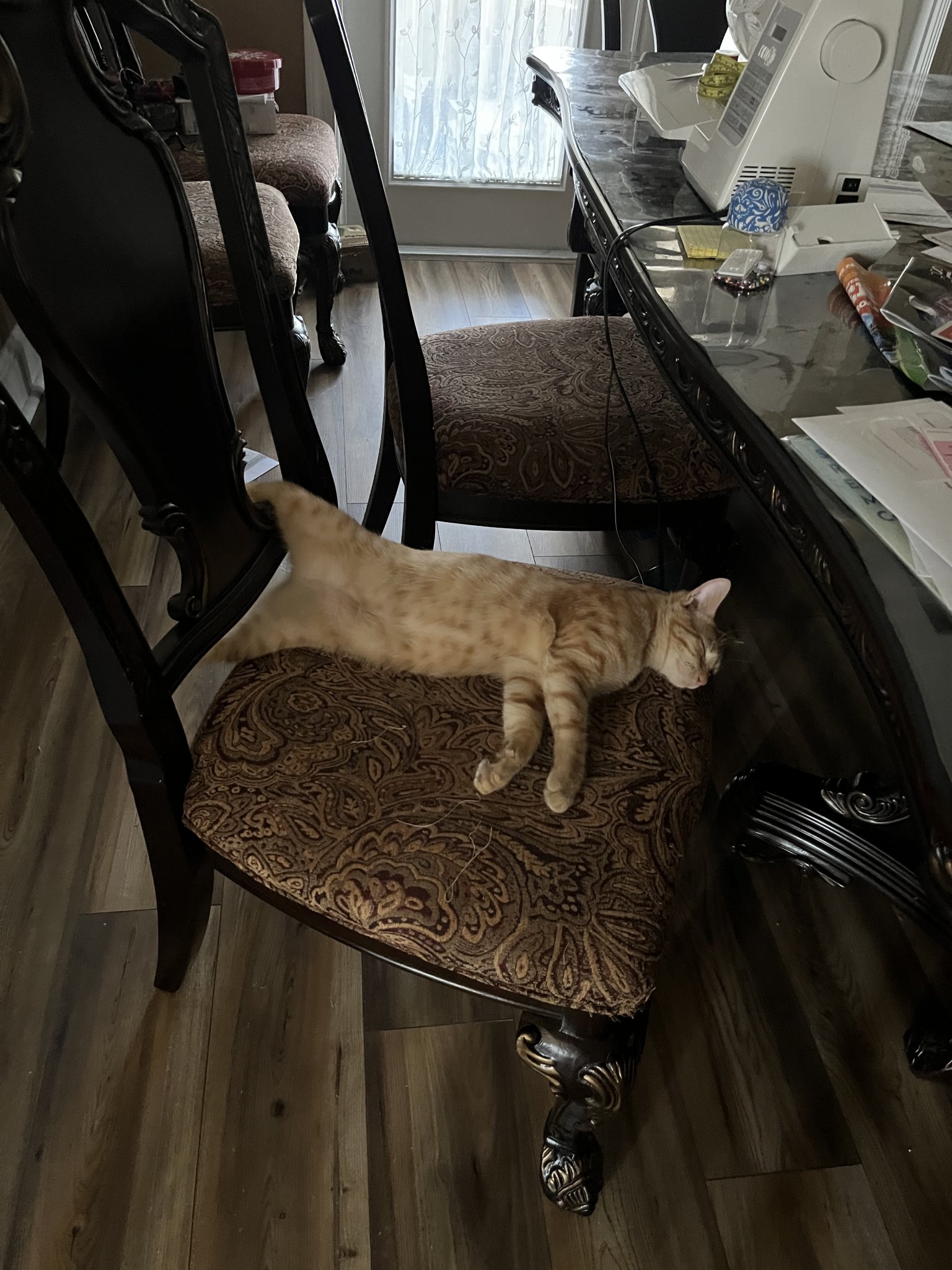 055B55FA-FA31-4B51-899F-1375D47D6219.jpeg