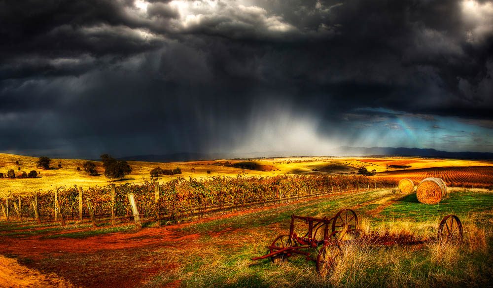 058.-Pindarie-Winery-Barossa-Valley-Dragan-Radojac.jpg