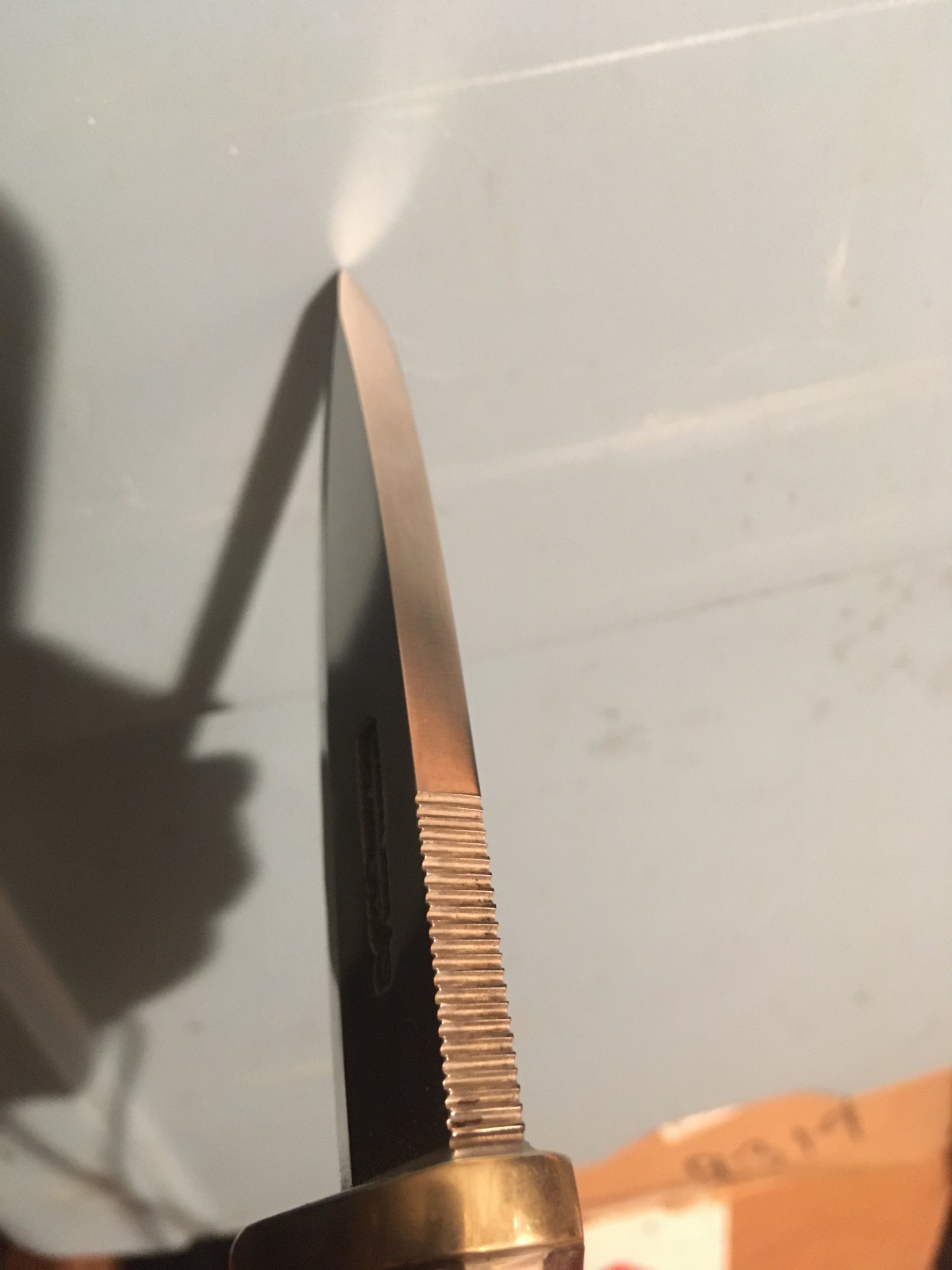 058064A9-A03C-448C-9237-A553EA9F1D3D.jpeg