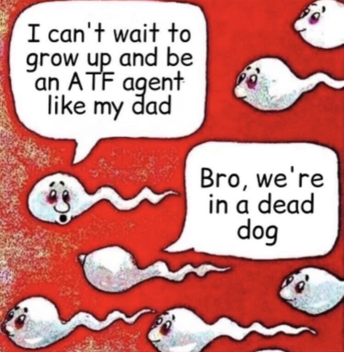 0582AFAF-8B36-4865-B34E-0F0B1F2E3306.jpeg