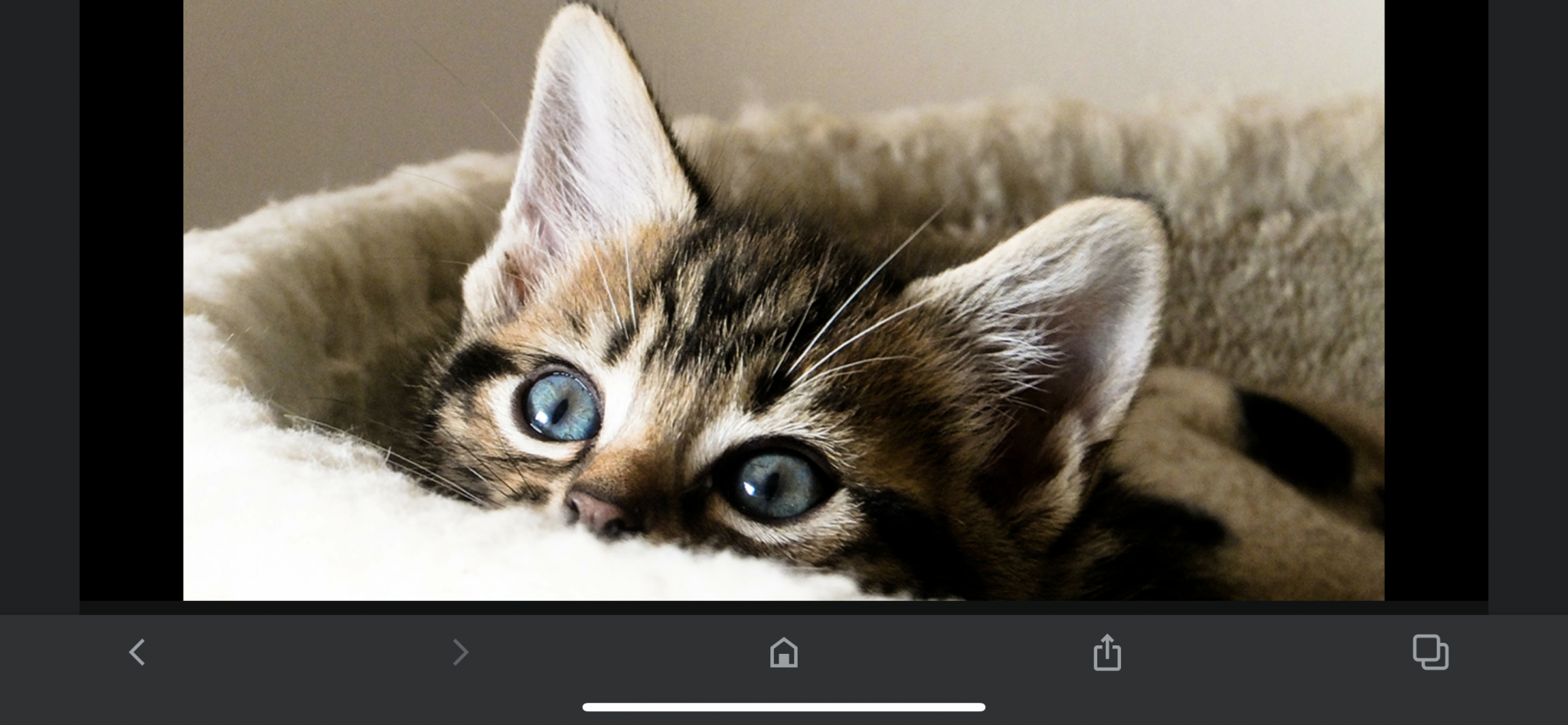 05F0225B-30CF-4F6E-91D7-FCBF9DC57B19.png