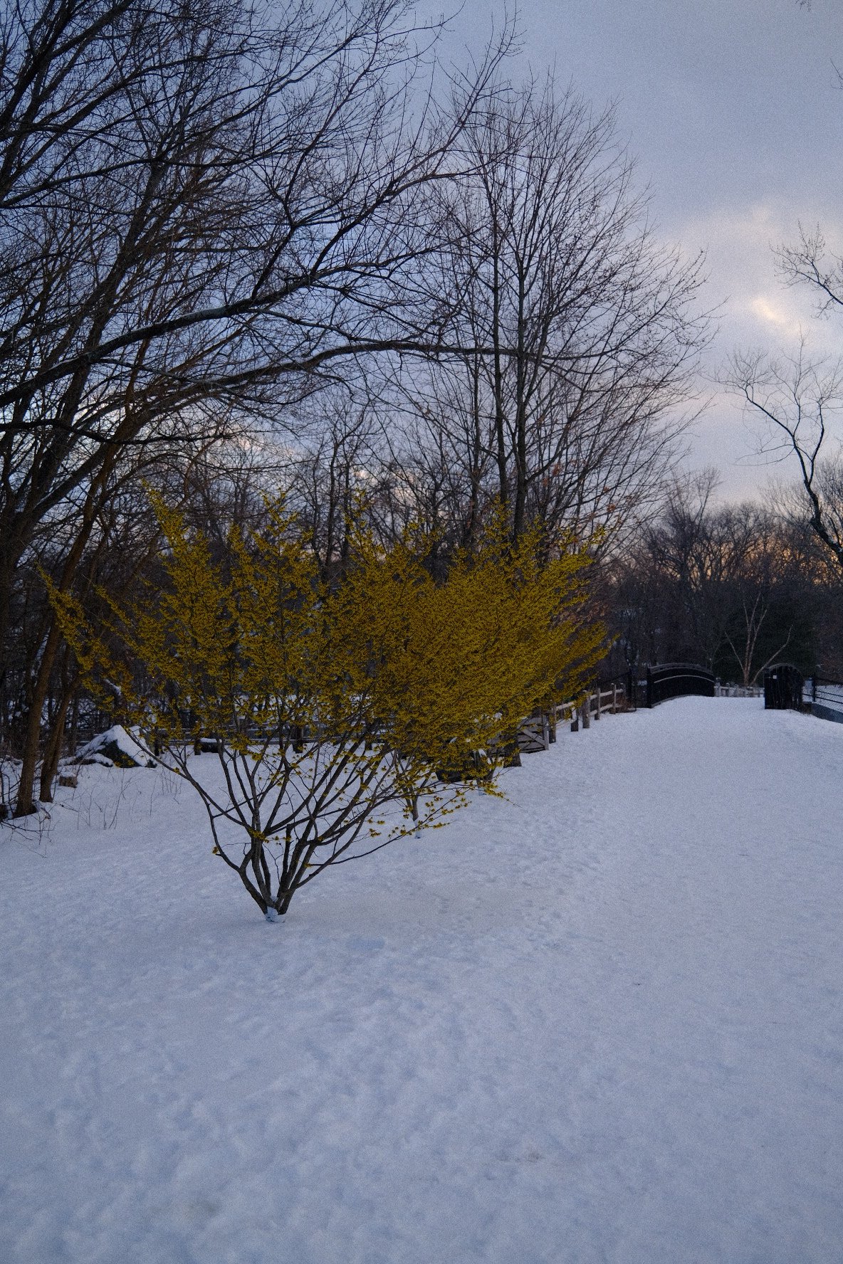 05F06D60-92E0-4E6F-871A-7BEF0E2A2335.jpeg