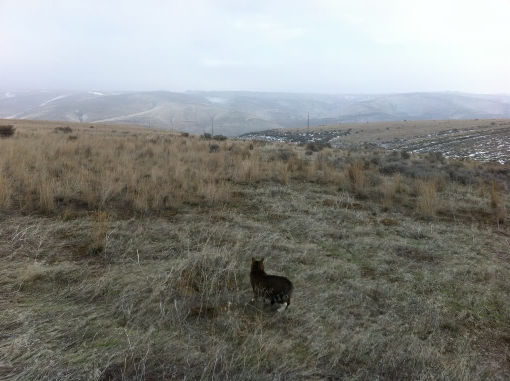 0604147D-DBE4-4638-9F79-7F19D2C10592.jpeg