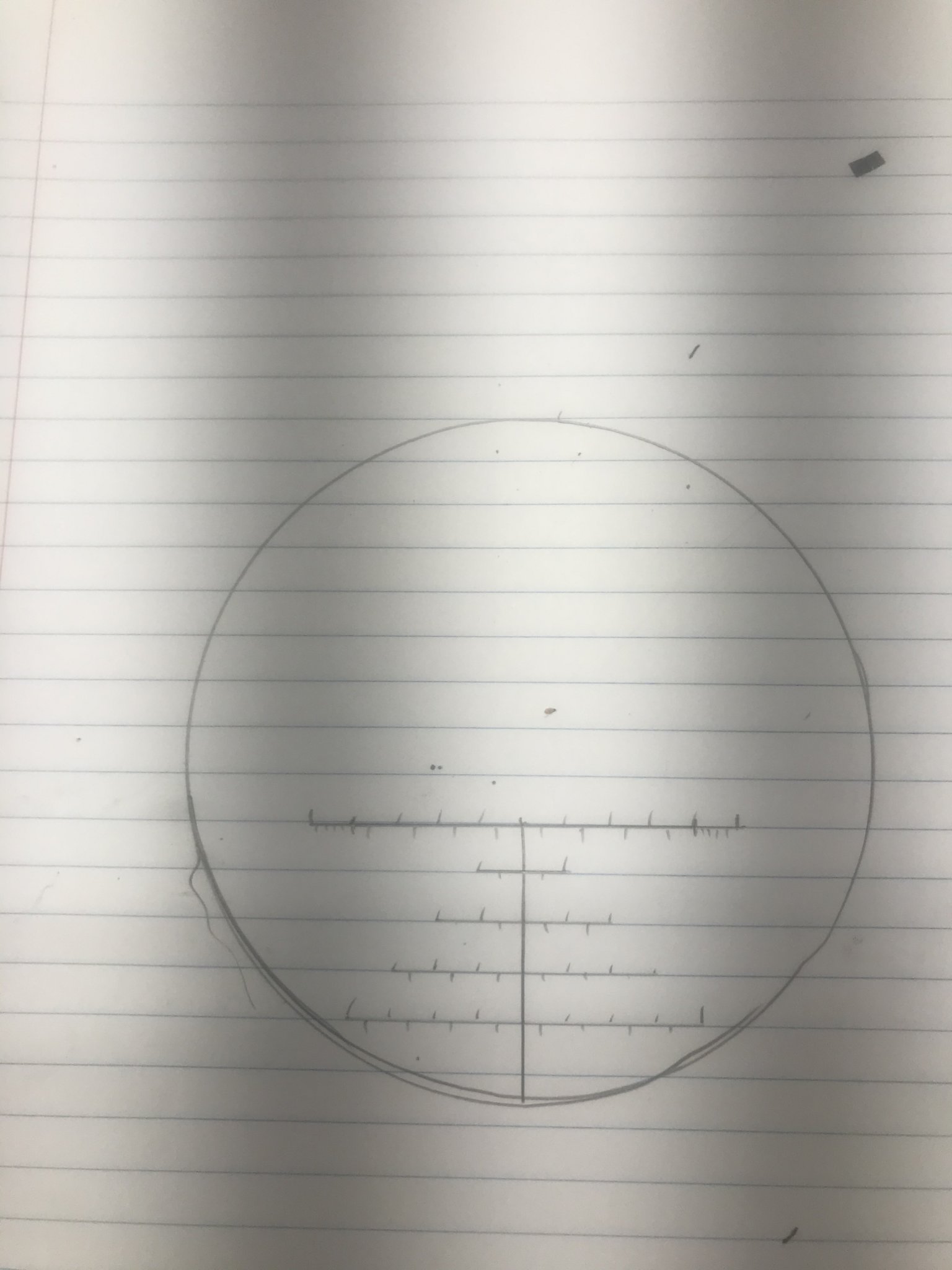 0655C667-1EF4-4CD0-9CFC-1836C6135E14.jpeg