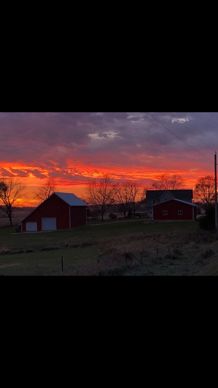 066889DE-298D-498C-97D6-3D219A599441.jpeg