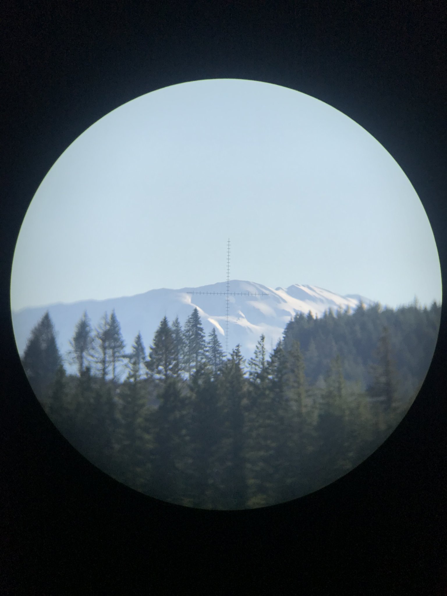 066CF285-0761-4692-A043-49D522CE77B8.jpeg