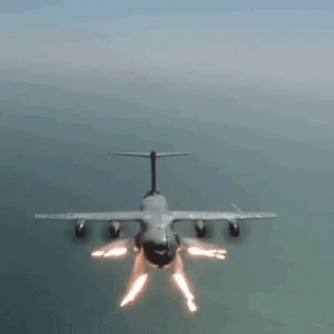 0680b2aaf4e5433308f2b0d1c64d1f15_width-300.gif
