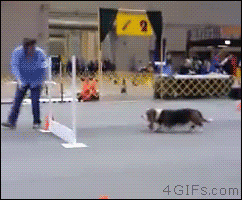 06AF3C7C-7377-46A5-8673-1E675CED0E66.gif