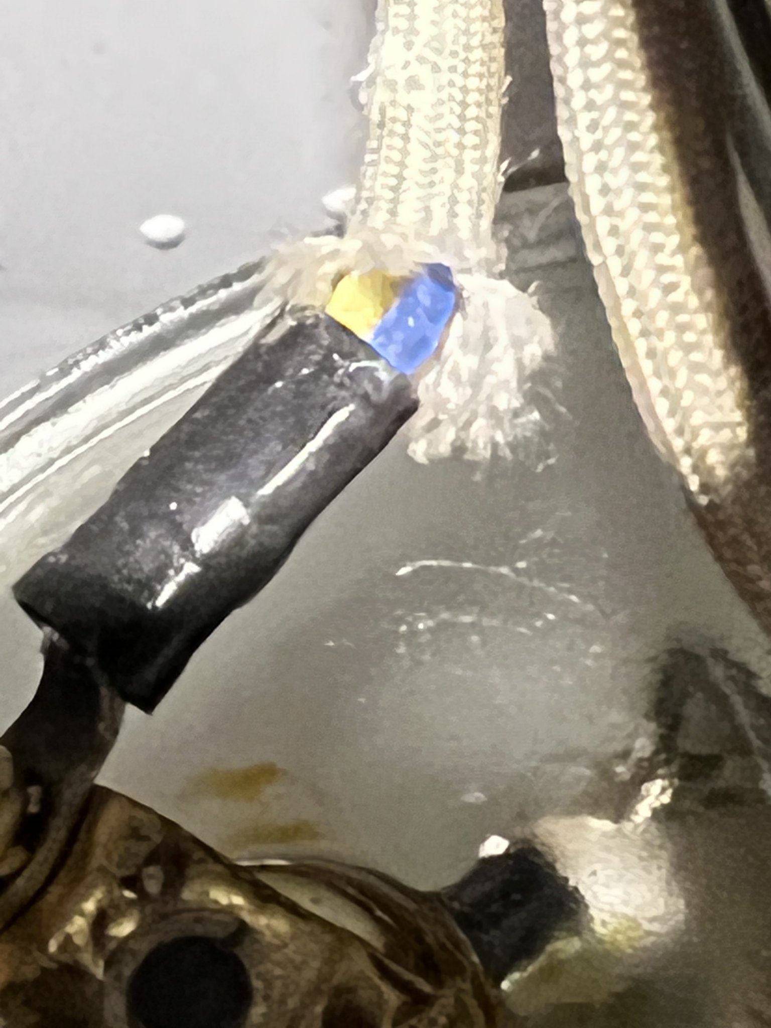 07050107-7814-46CA-9399-5A90D37215E7.jpeg