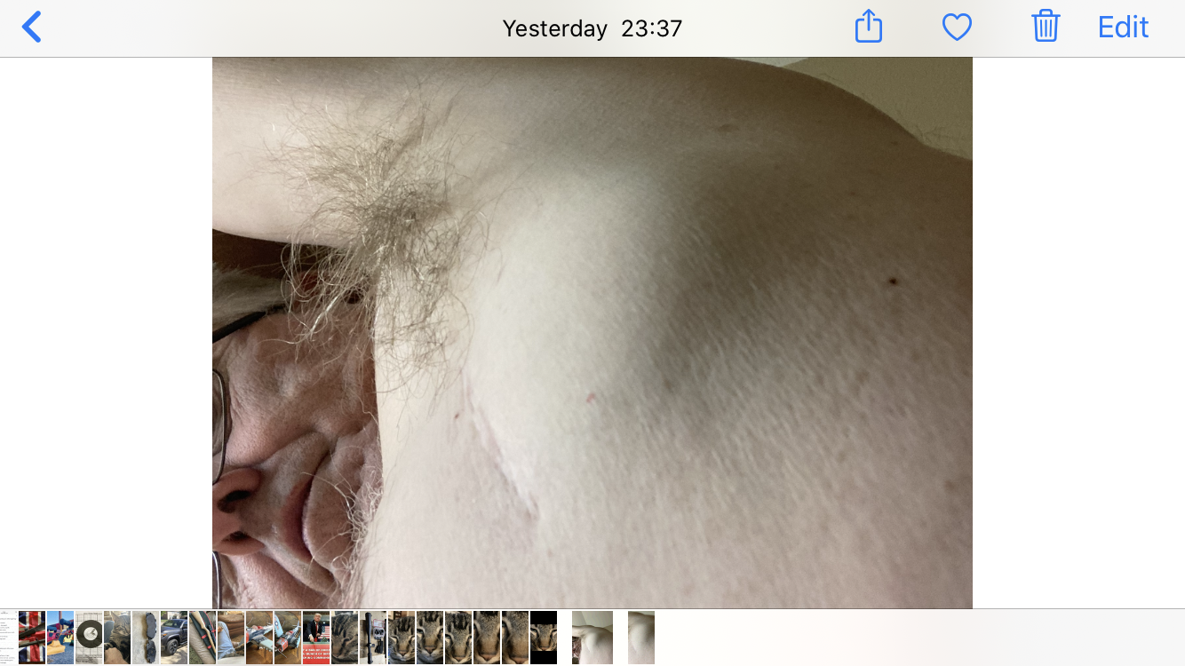 07905785-6240-4B88-ADF8-A3E5D2FF33ED.png