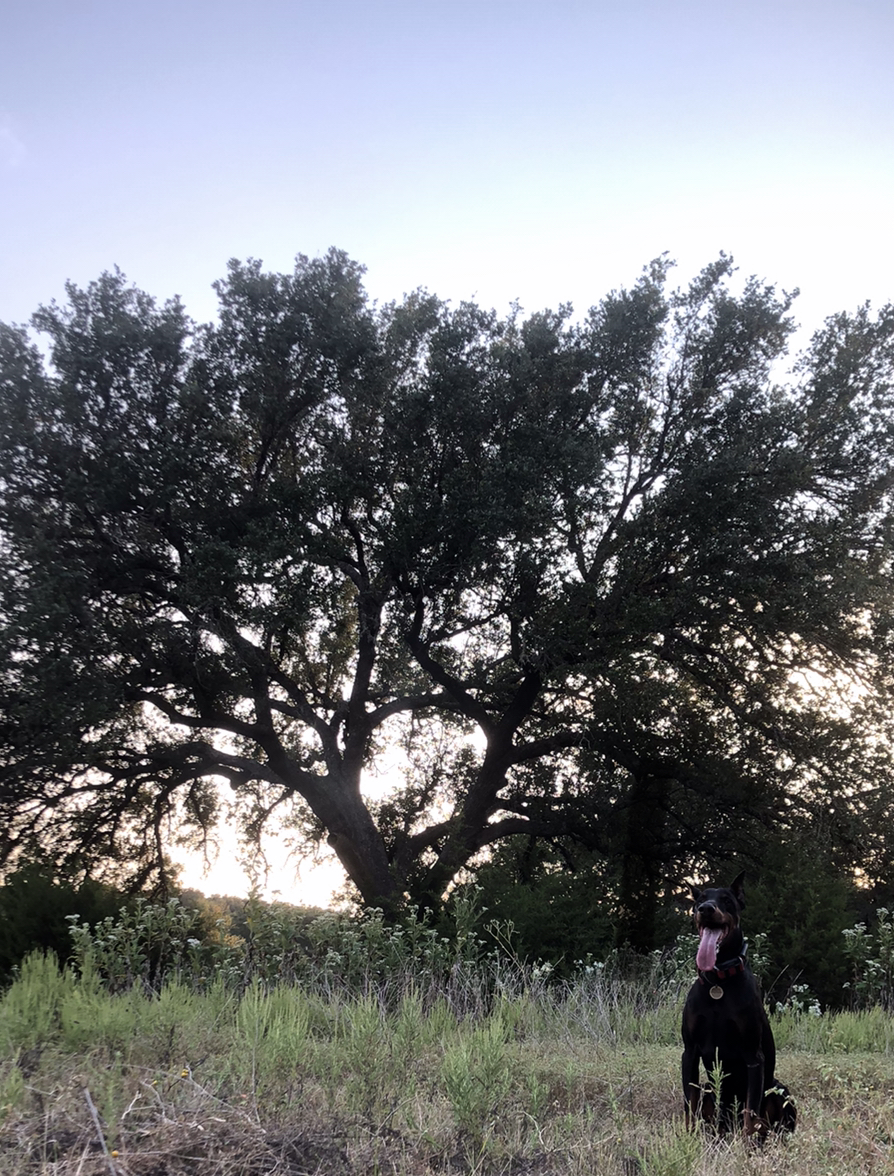 07F520FE-1460-4216-A75D-EE91897D005A.jpeg