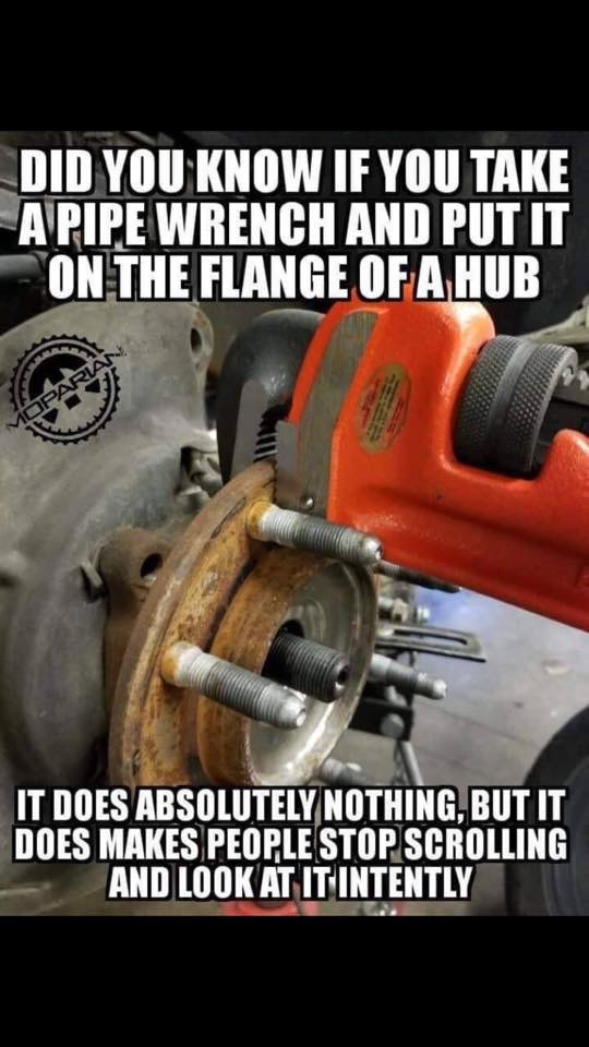 080B9655-9C1D-4E31-9442-9E53B294A490.jpeg