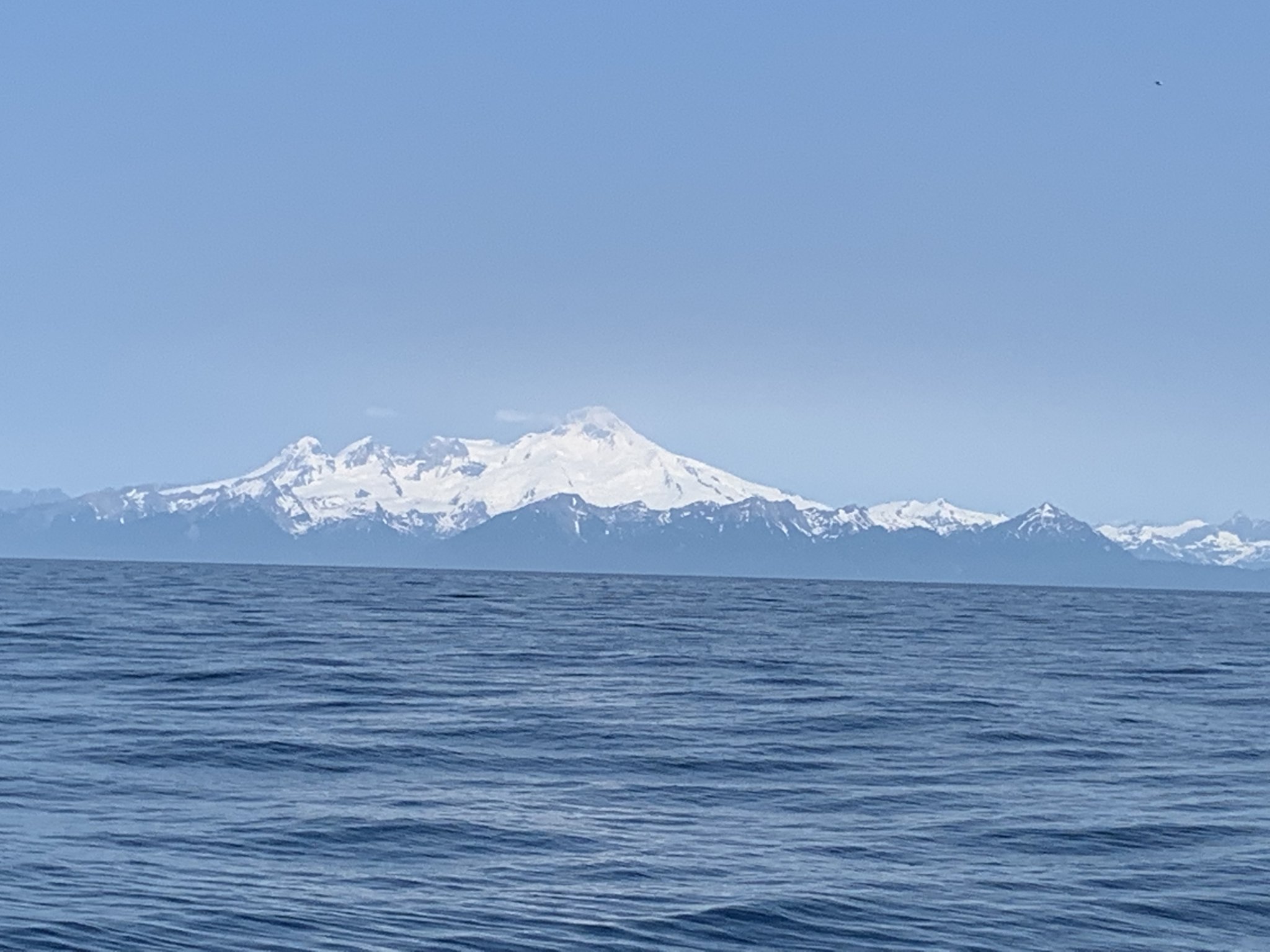 081223EC-EB05-4E49-A88C-072F027454E6.jpeg