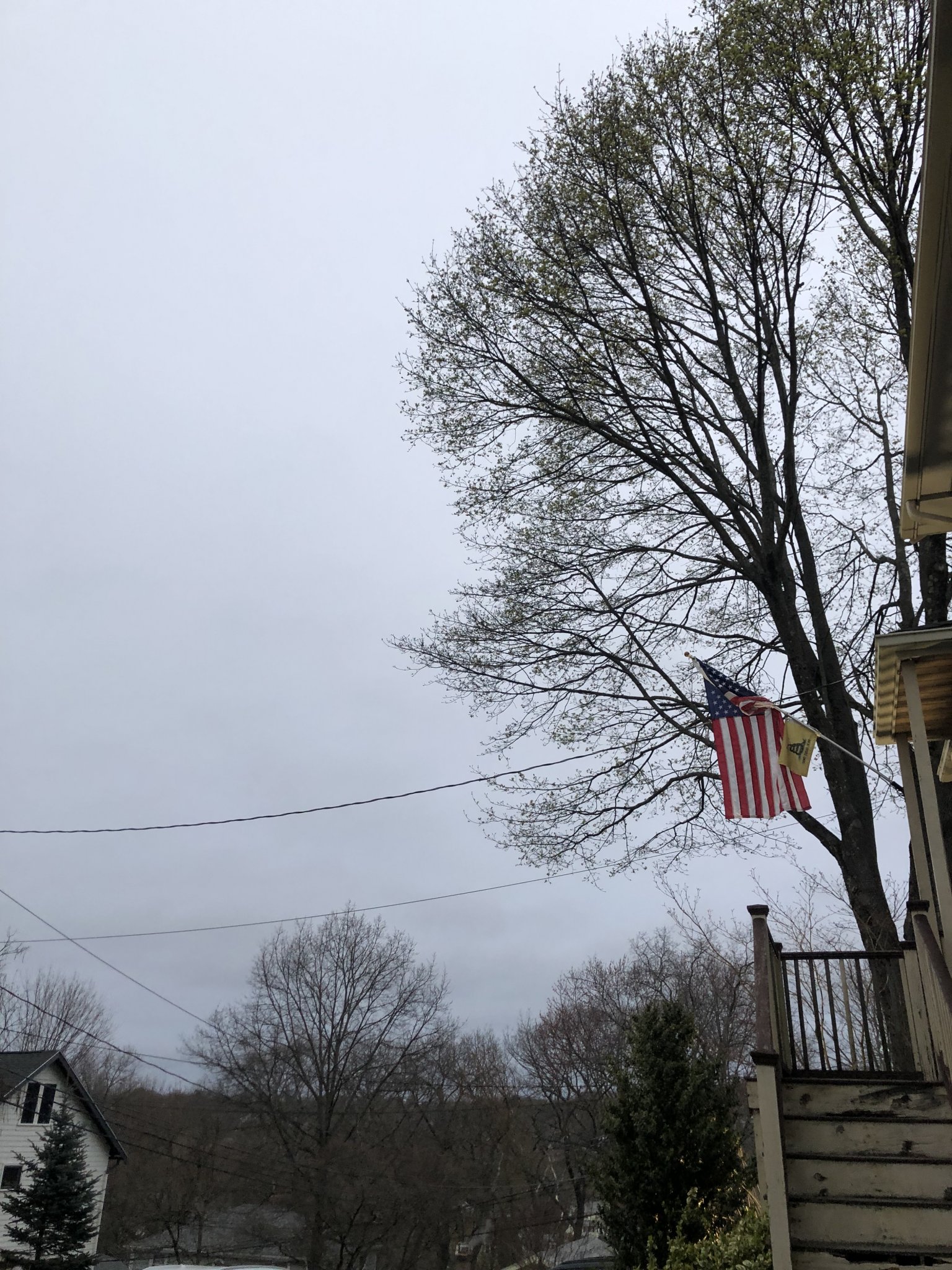 087E2A22-43B1-4C4D-88BE-24725754E988.jpeg