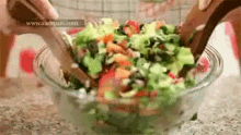 088791B3-8DD9-4B12-AEF8-D0E651989A4C.gif
