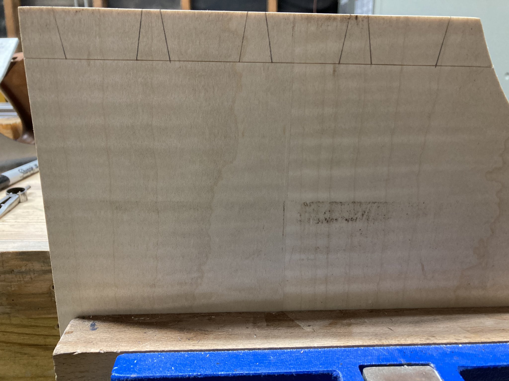 08B9AEFE-8DFD-4203-A016-C63FE7D92D68.jpeg