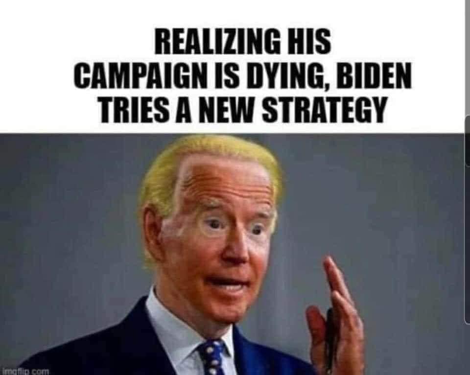 08D9F9ED-444D-45AF-9494-7041C1EEE7B6.jpeg