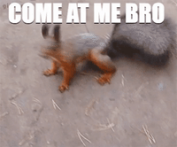 09c879796817b74594abcdf564e6c17f_w200.gif