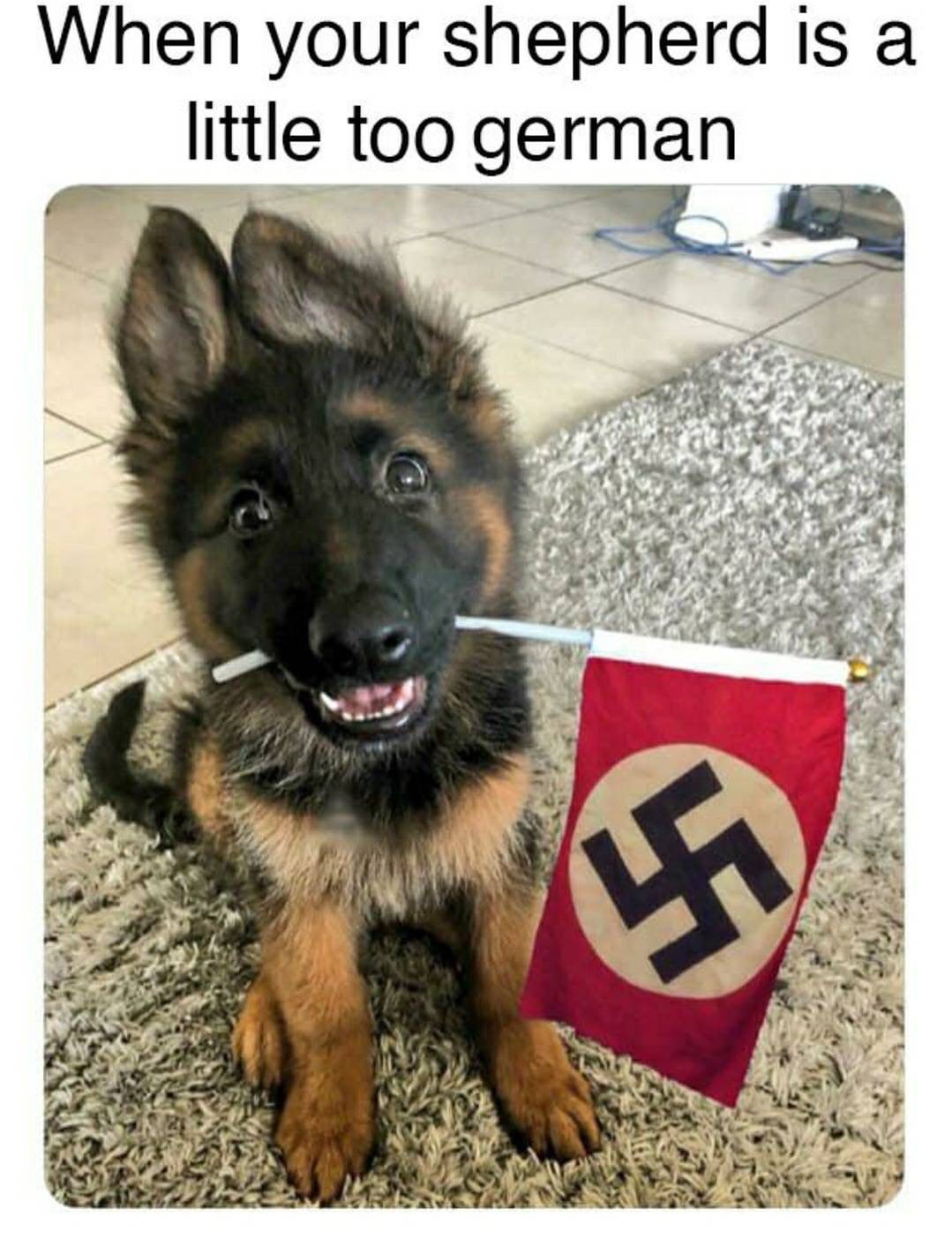 09DB8435-526E-49B6-B2D4-AD4D8FBCD320.jpeg