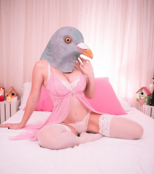 0A737270-DD38-4790-B297-3E57D806DBF0.png