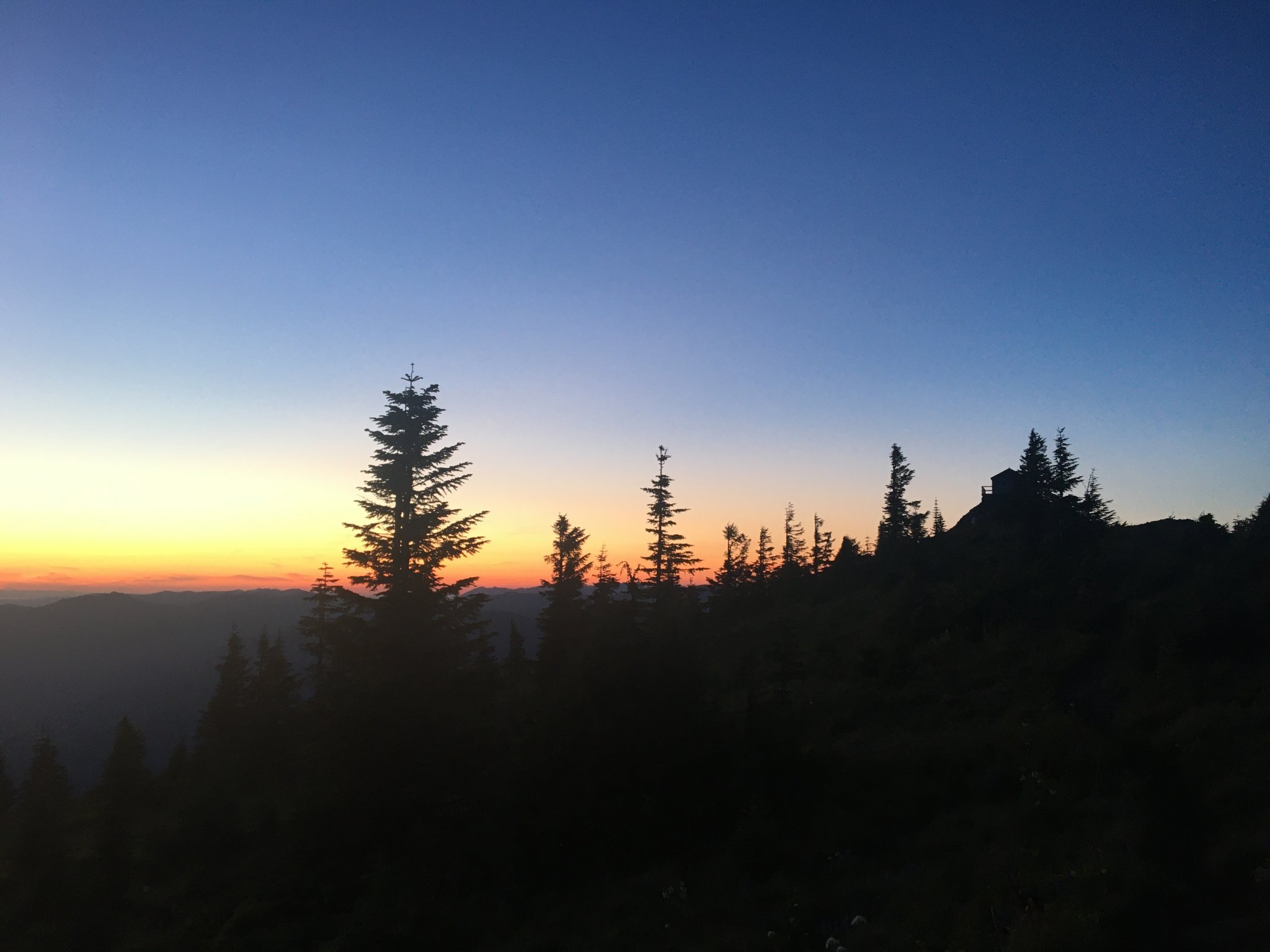 0B025774-81EA-4D68-A457-1B3012D9A07F.jpeg