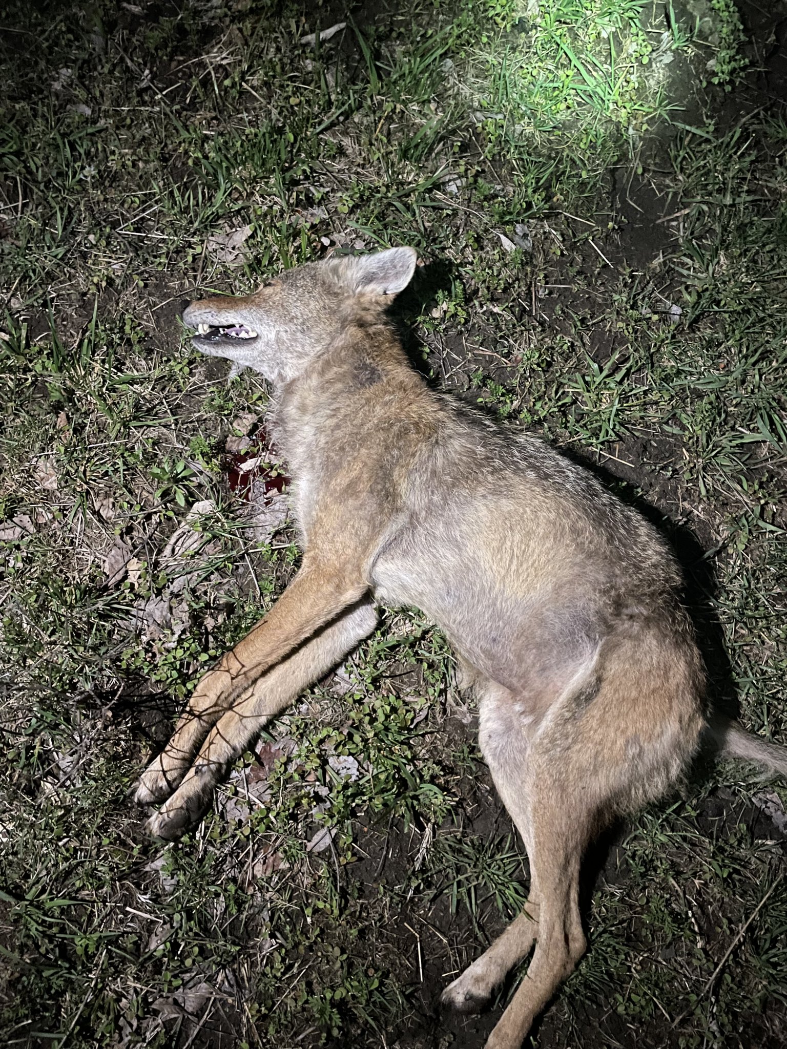 0B85347E-3A03-4F41-BA08-C3730E00A516.jpeg
