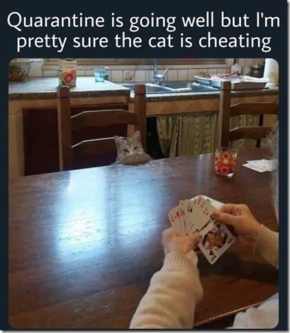 0D0F1B50-7C63-4B12-93B0-3490242265E5.jpeg