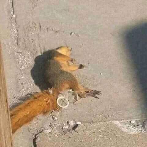 7102279