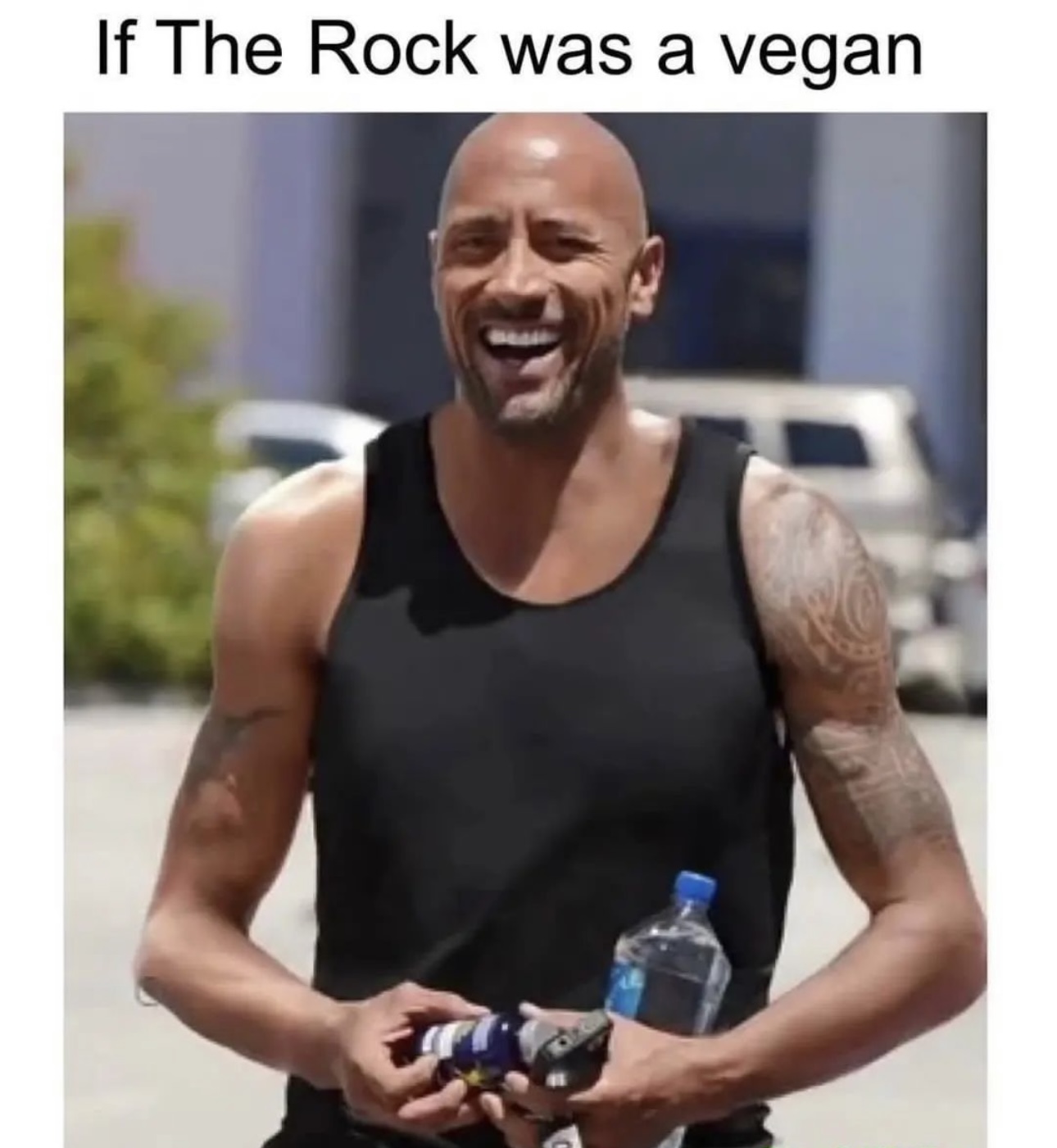 0D86797C-1A31-48D9-9576-9C1C3EA87083.jpeg