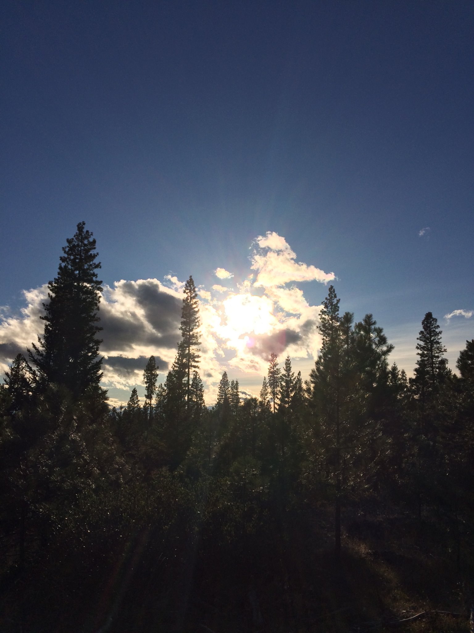 0D9FFD19-4682-489C-BDF1-055A38778B62.jpeg