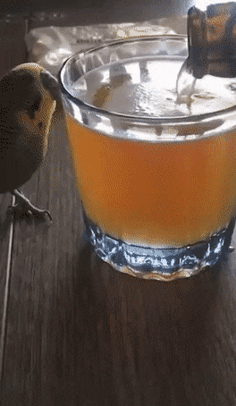 0E3A3101-FE8E-4248-8D27-20A3C5C38660.gif