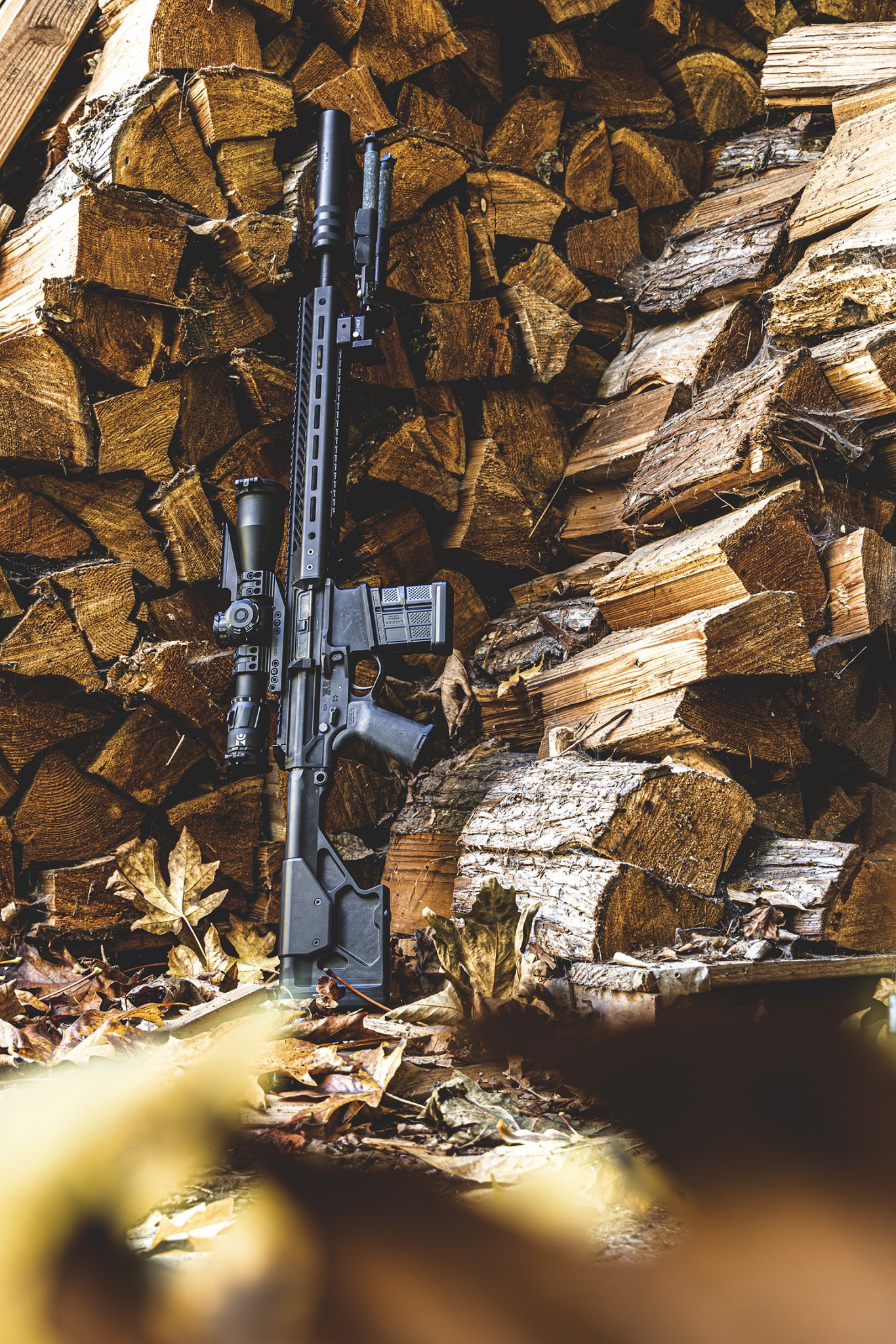 0M6A1702sml.jpg