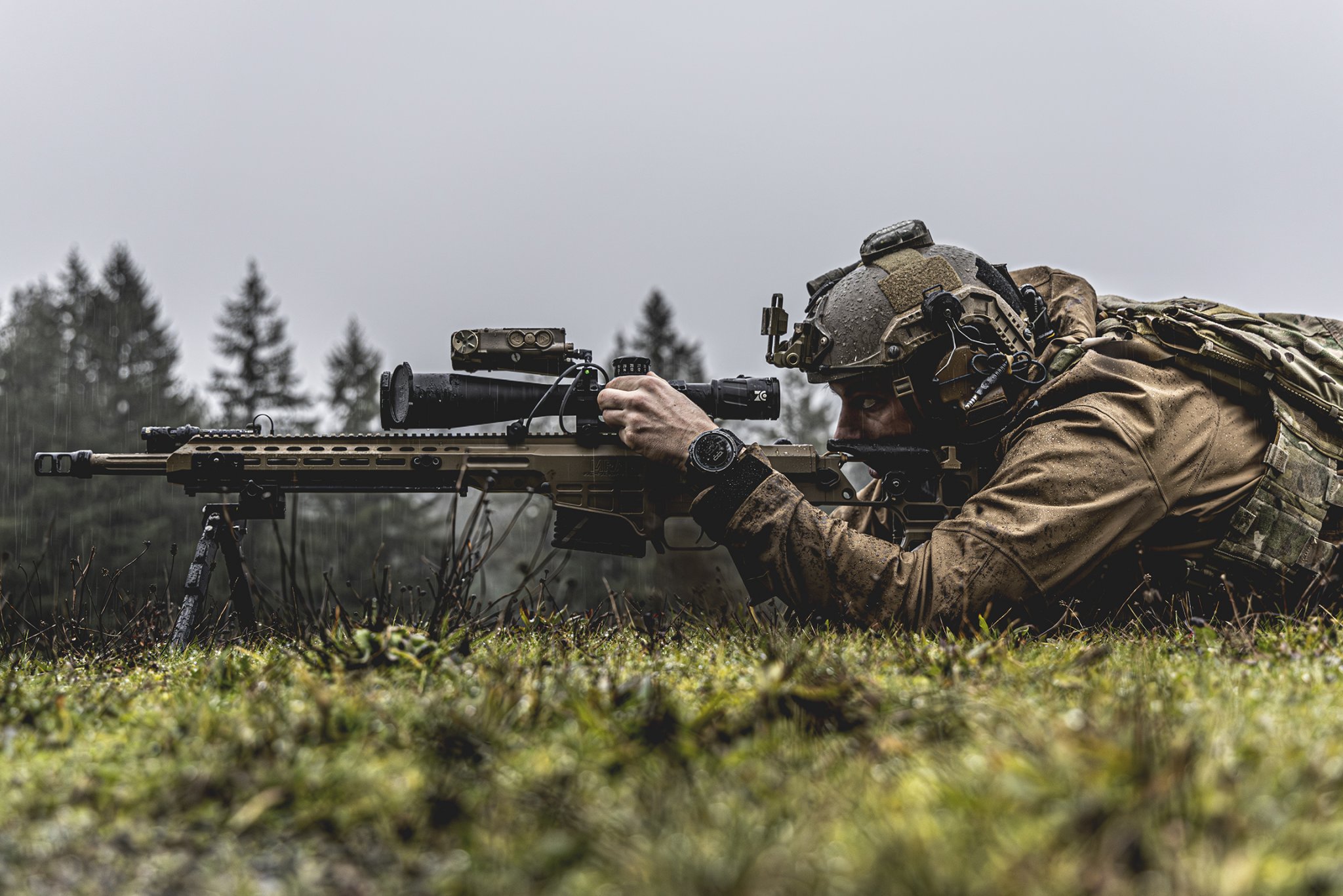 0M6A2295sml.jpg