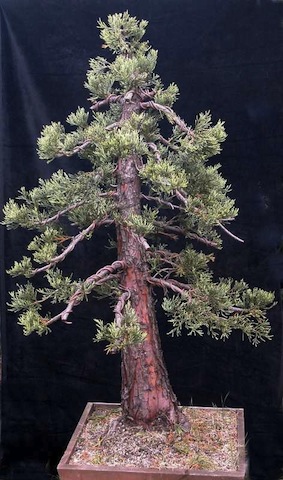 1-First-stylling-2006.jpg